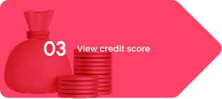 Loan Application Step 3 Check Credit Score